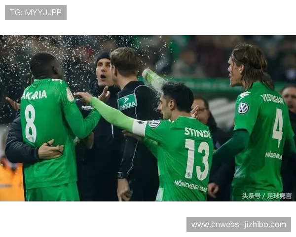 德甲俱乐部环保倡议：减少塑料使用